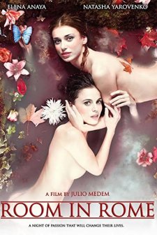 Ateşli Oda (2010) afişi