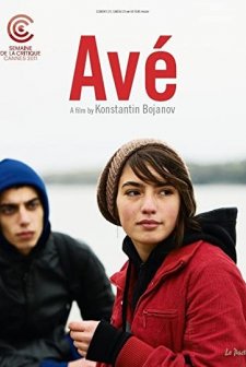 Avé (2011) afişi
