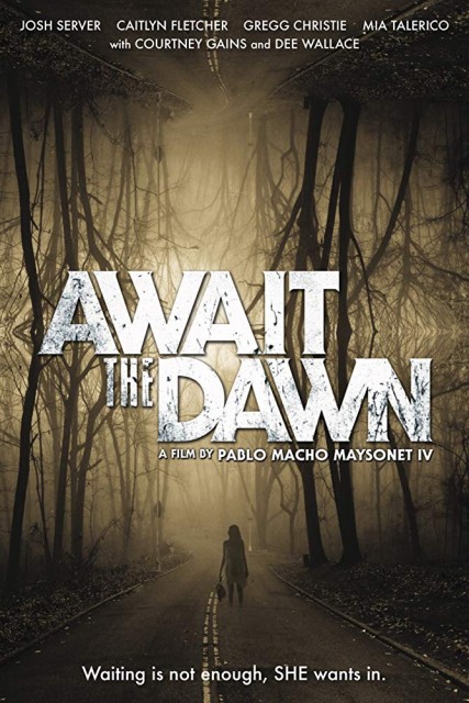 Await the Dawn (2019) afişi Await the Dawn (2019) afişi