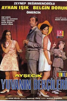 Ayşecik Yuvanın Bekçileri (1969) afişi