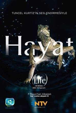 Bbc Hayat - Avcılar Ve Avları (2009) afişi Bbc Hayat - Avcılar Ve Avları (2009) afişi