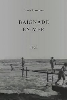 Baignade En Mer