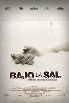 Bajo La Sal (2008) afişi