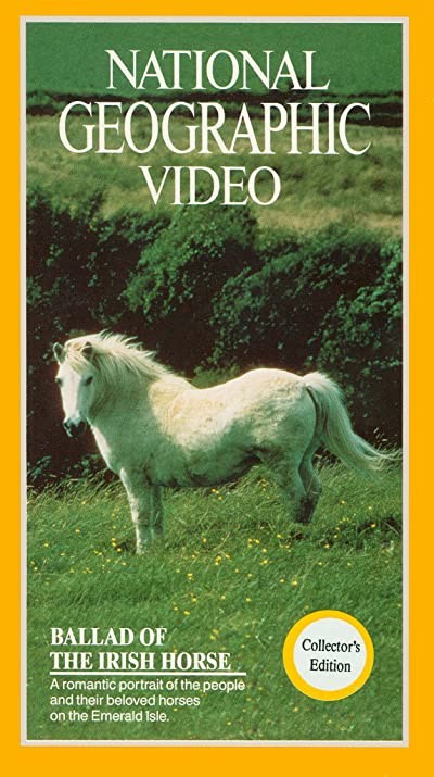 Ballad Of The ırish Horse (1985) afişi Ballad Of The ırish Horse (1985) afişi