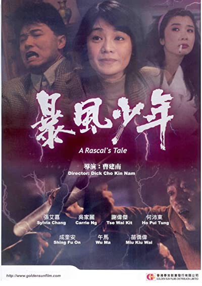 Bao Feng Shao Nian (1991) afişi Bao Feng Shao Nian (1991) afişi
