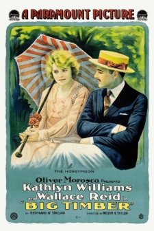 Big Timber (1917) afişi
