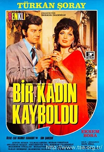 Bir Kadın Kayboldu (1971) afişi Bir Kadın Kayboldu (1971) afişi