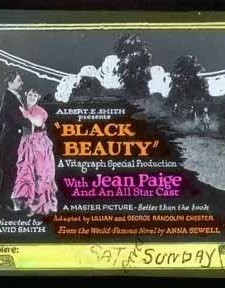 Black Beauty (1921) afişi
