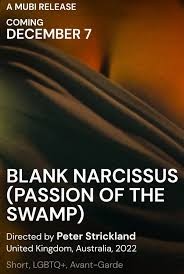 Blank Narcissus