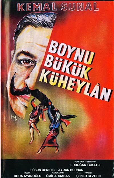 Boynu Bükük Küheylan