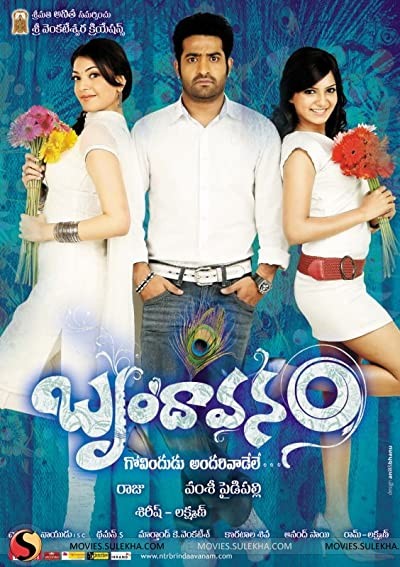 Brindaavanam (2010) afişi Brindaavanam (2010) afişi