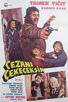 Cezanı çekeceksin (1976) afişi