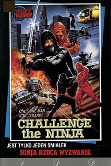 Challenge Of The Ninja