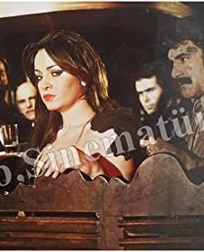 Çırılçıplak (1977) afişi