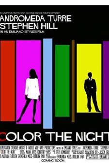 Color the Night (2013) afişi