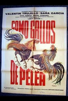 Como Gallos De Pelea