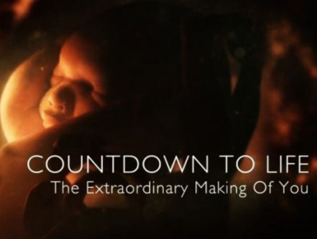 Countdown to Life: The Extraordinary Making of You (2015) afişi Countdown to Life: The Extraordinary Making of You (2015) afişi