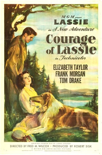 Courage Of Lassie (1946) afişi Courage Of Lassie (1946) afişi
