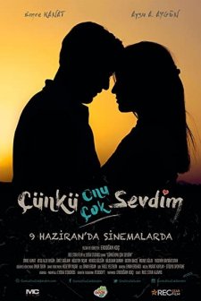 Çünkü Onu Çok Sevdim (2017) afişi