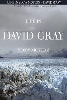 David Gray: Life In Slow Motion (2005) afişi