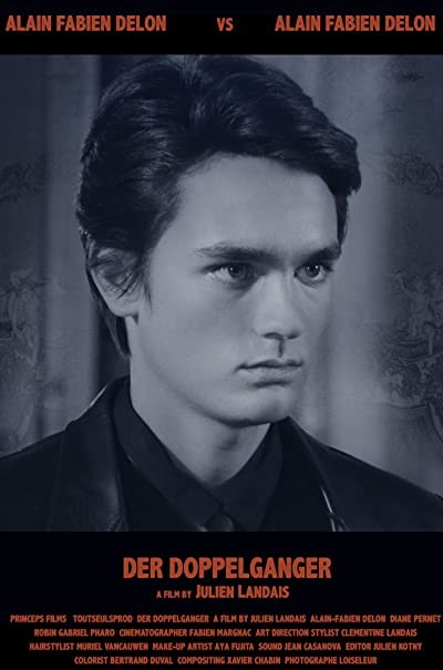Der Doppelgänger (2014) afişi Der Doppelgänger (2014) afişi