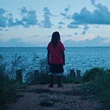 Descendant (2022) afişi