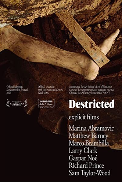 Destricted (2006) afişi Destricted (2006) afişi