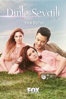 Dinle Sevgili (2011) afişi