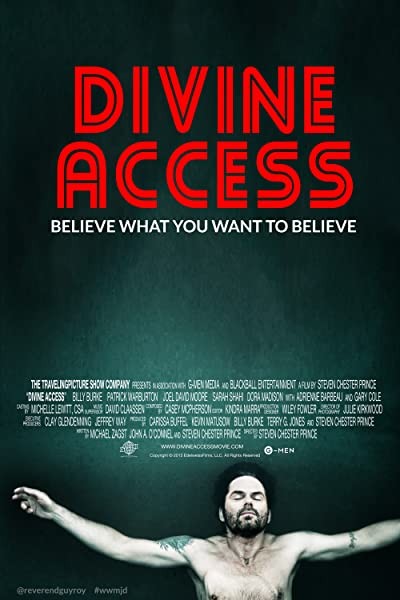 Divine Access (2015) afişi Divine Access (2015) afişi