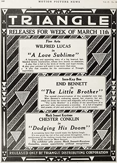 Dodging His Doom (1917) afişi Dodging His Doom (1917) afişi