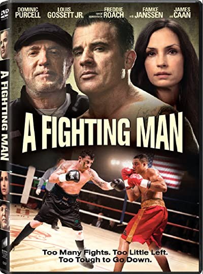 Dövüşçü (2014) afişi