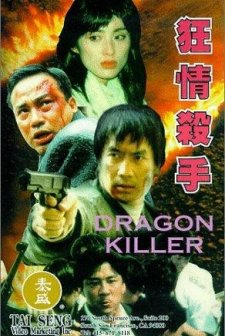 Dragon Killer (1995) afişi