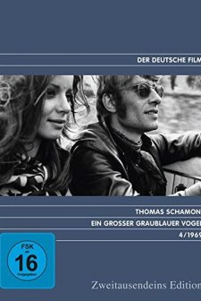 Ein großer graublauer Vogel (1970) afişi