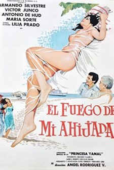 El Fuego De Mi Ahijada (1979) afişi