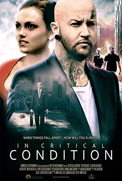 Eleştirel Durum (2016) afişi Eleştirel Durum (2016) afişi
