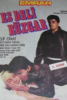Es Deli Rüzgar (1988) afişi