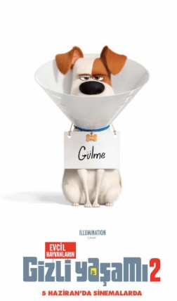 Evcil Hayvanların Gizli Yaşamı 2 (2019) afişi Evcil Hayvanların Gizli Yaşamı 2 (2019) afişi