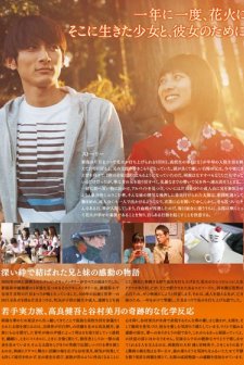 Fireworks From The Heart (2009) afişi