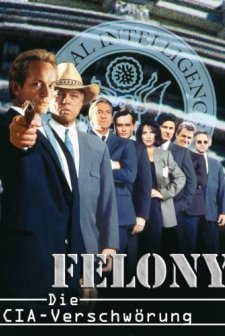 Felony (1994) afişi