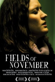 Fields Of November (2010) afişi