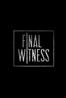 Final Witness (2012) afişi