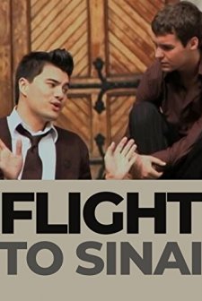 Flight To Sinai (2009) afişi