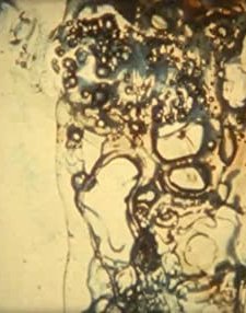 Friendly Fire (2003) afişi