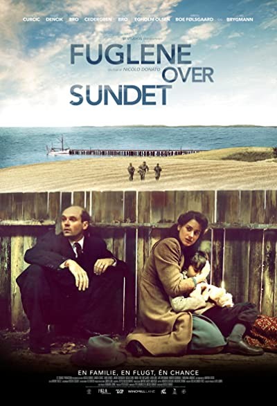 Fuglene Over Sundet (2016) afişi Fuglene Over Sundet (2016) afişi