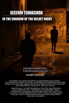 Gecenin Tenhasında (2014) afişi