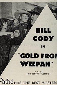 Gold From Weepah (1927) afişi