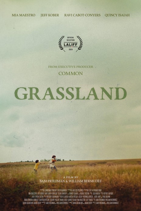Grassland (2024) afişi Grassland (2024) afişi