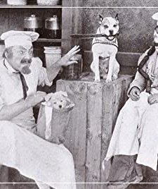 Ham And The Sausage Factory