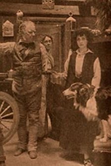 Her Mother's Wedding Gown