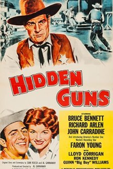 Hidden Guns